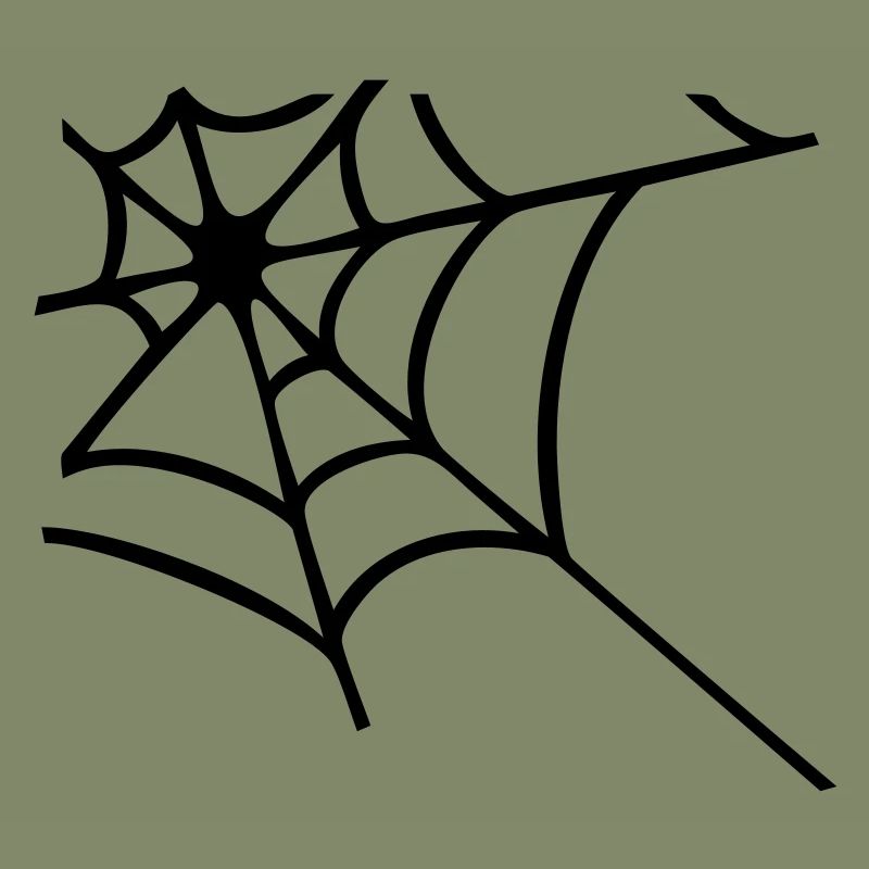 Corner spider web