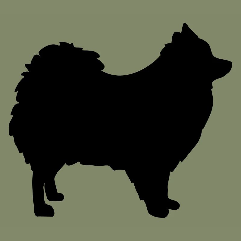 Spitz