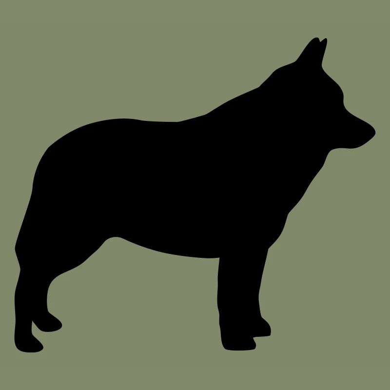 Schipperke