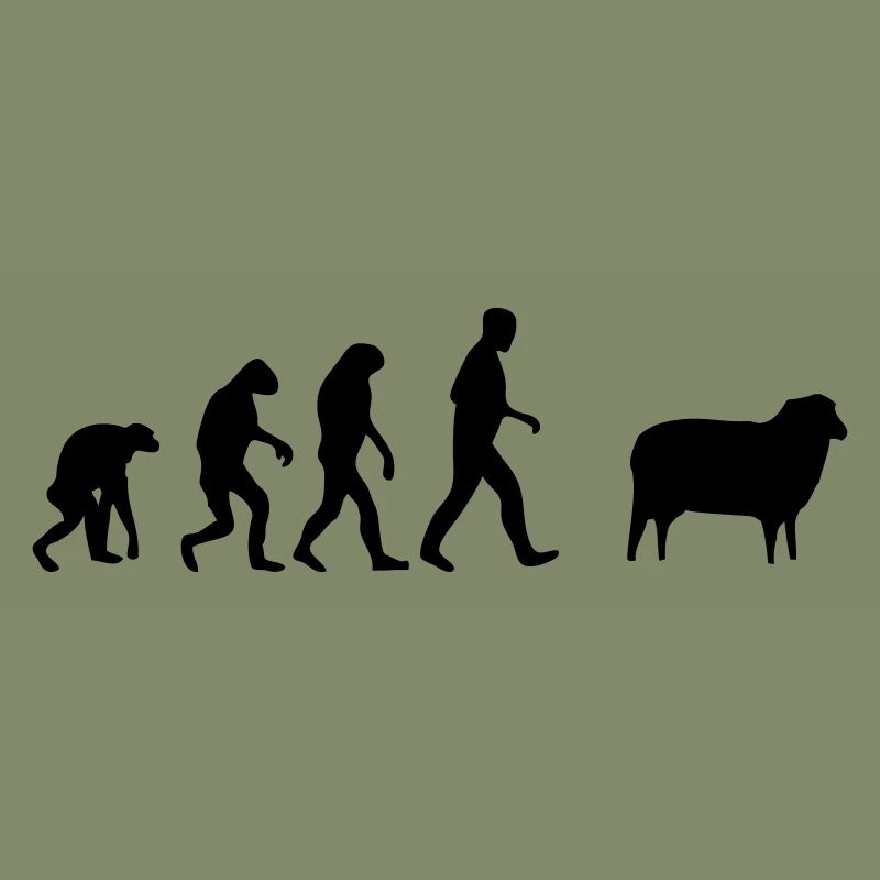 mouton evolution