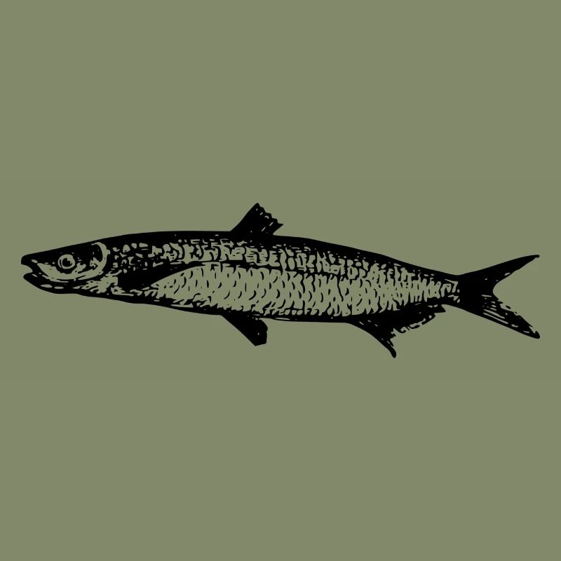 fish513