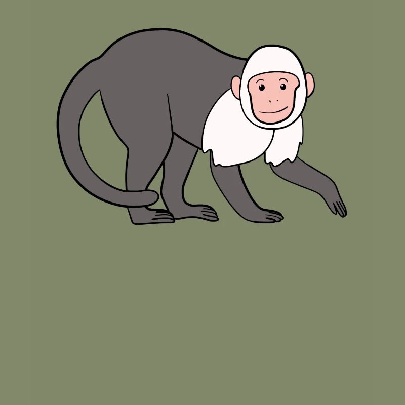 Capuchin Monkey Monkey