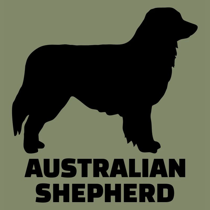 Australian Shepherd