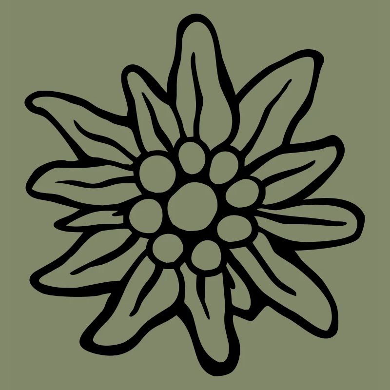 edelweiss