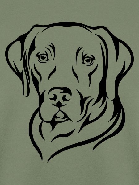 Labrador 2