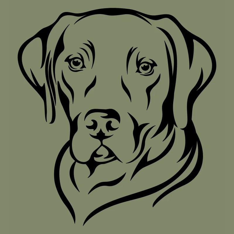 Labrador 2