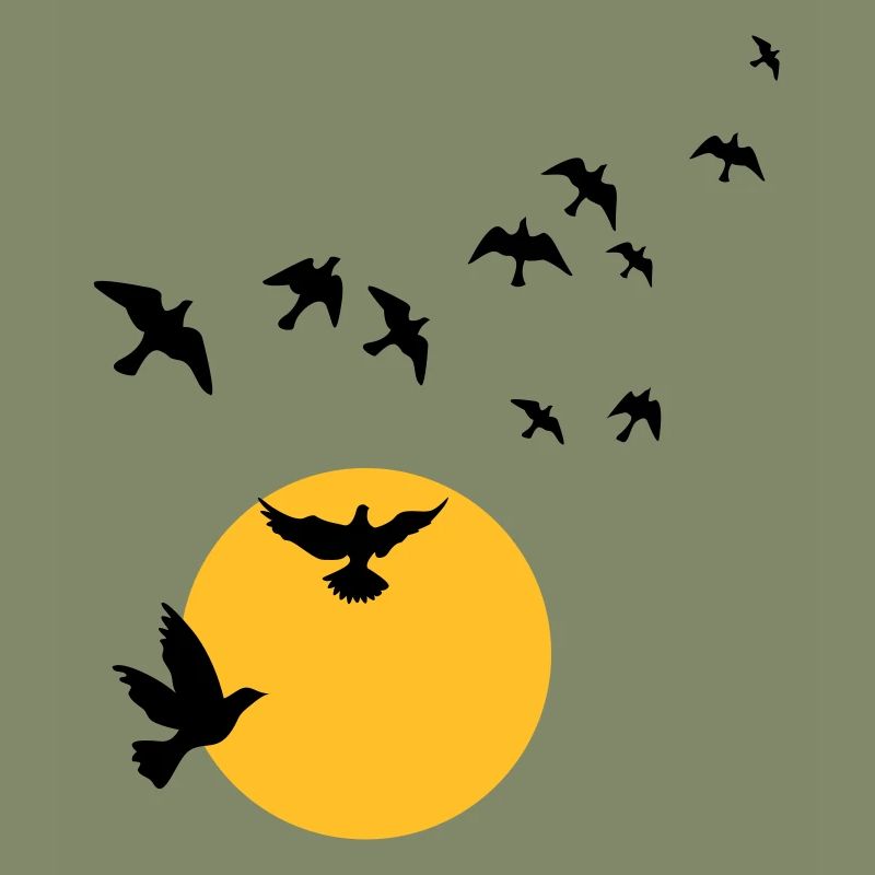 Vögel im Sonnenuntergang