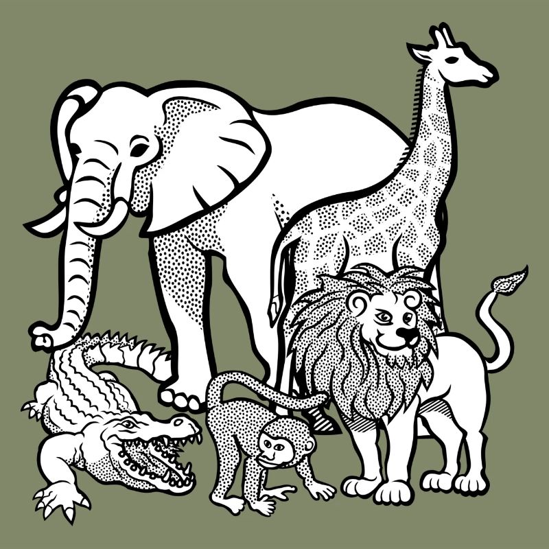zoo