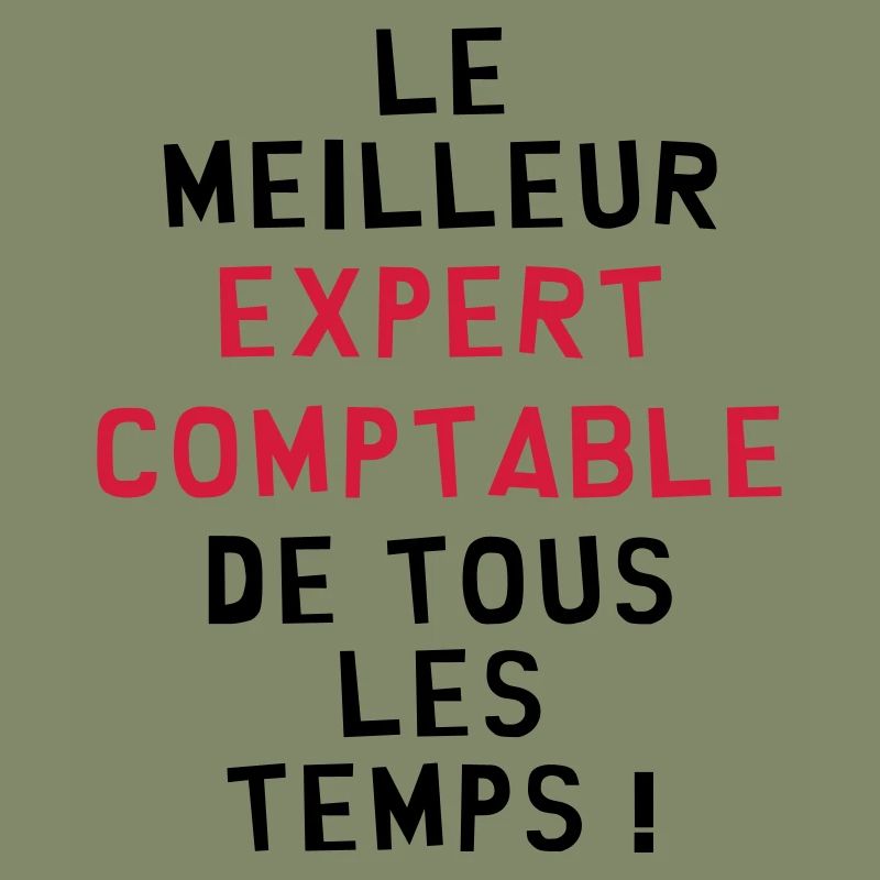 Expert Comptable / Comptabilité / Comptable /