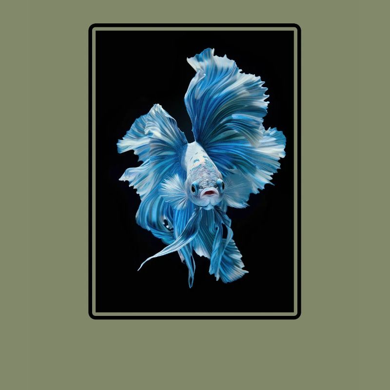 Bettas Betta Poisson Betta