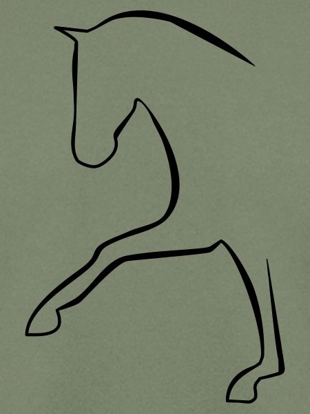Dressurpferd
