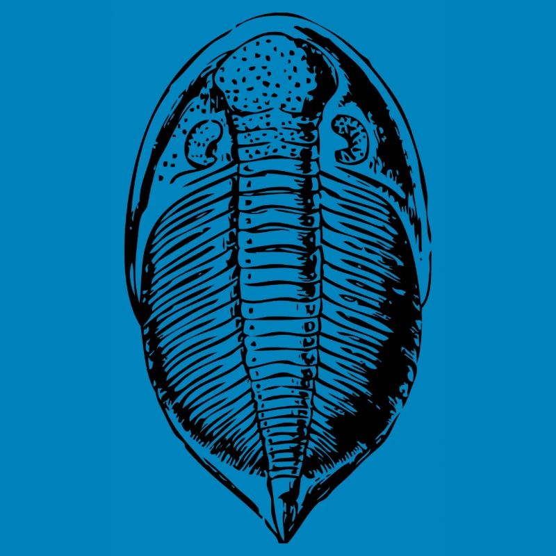 Fossil