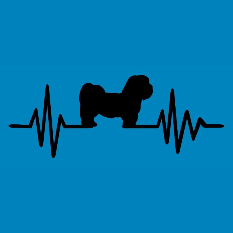 Lhasa Apso
