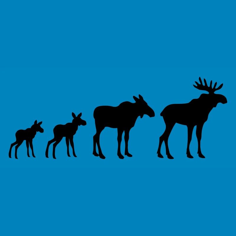 Elk Evolution