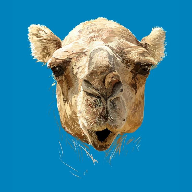kamel