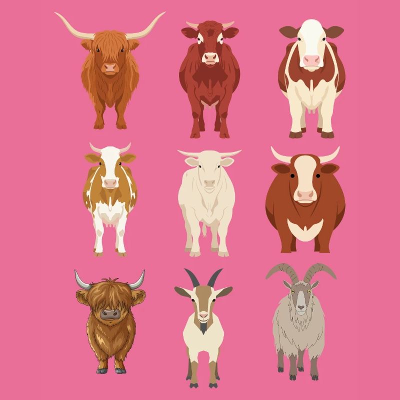 Cows gift idea
