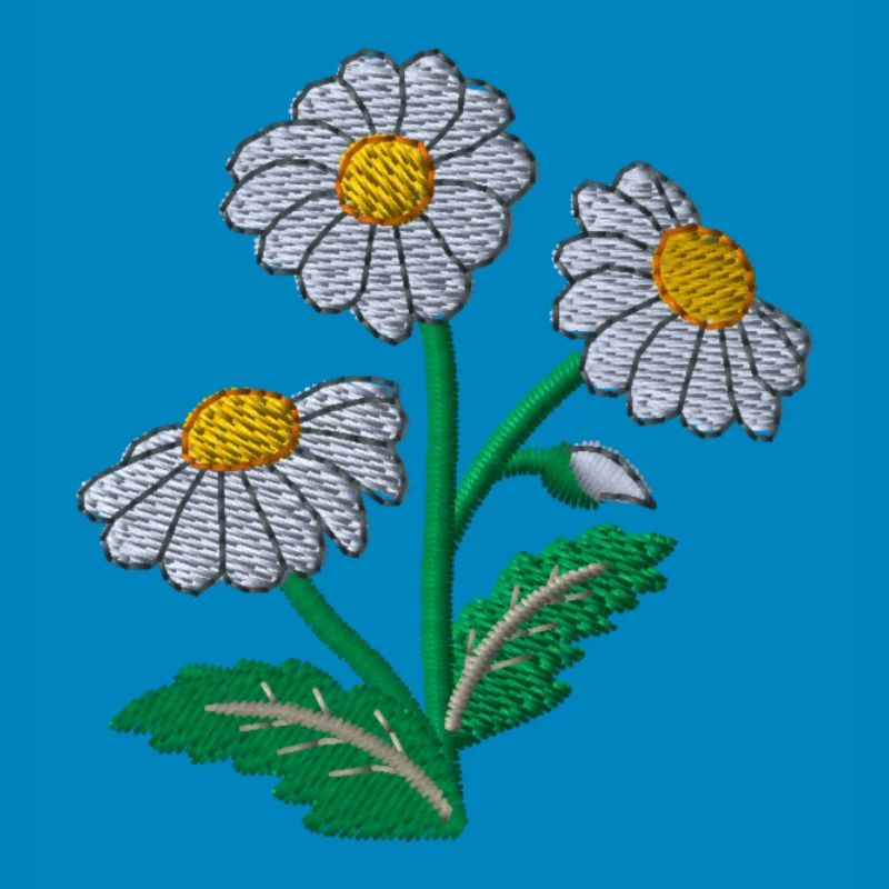 Gänseblümchen