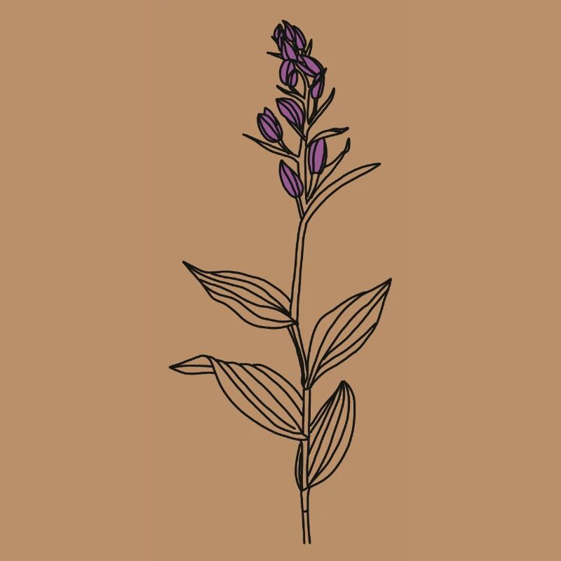 Blume Waldvögelein