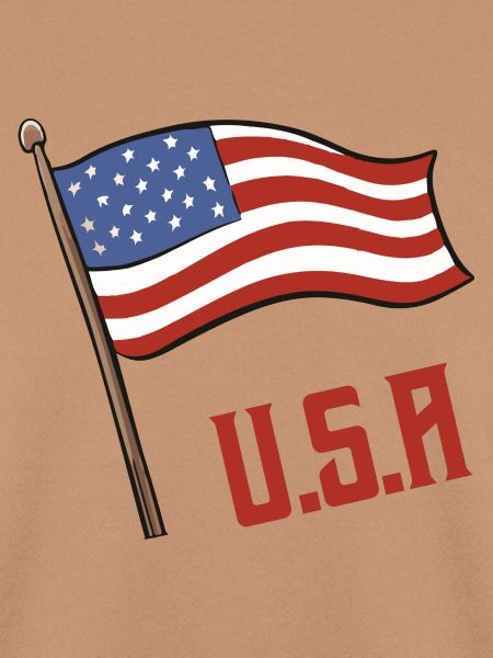 USA Fahne