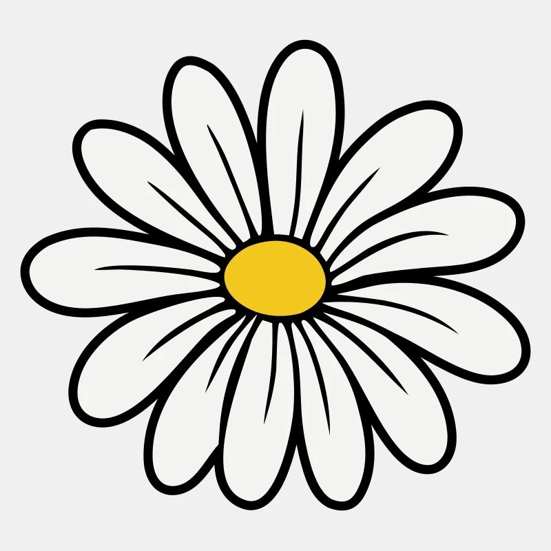 Gänseblümchen