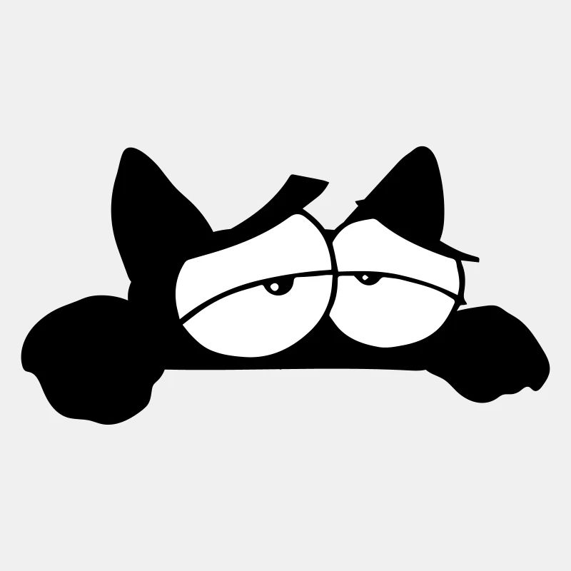 Black Cat 11 cat