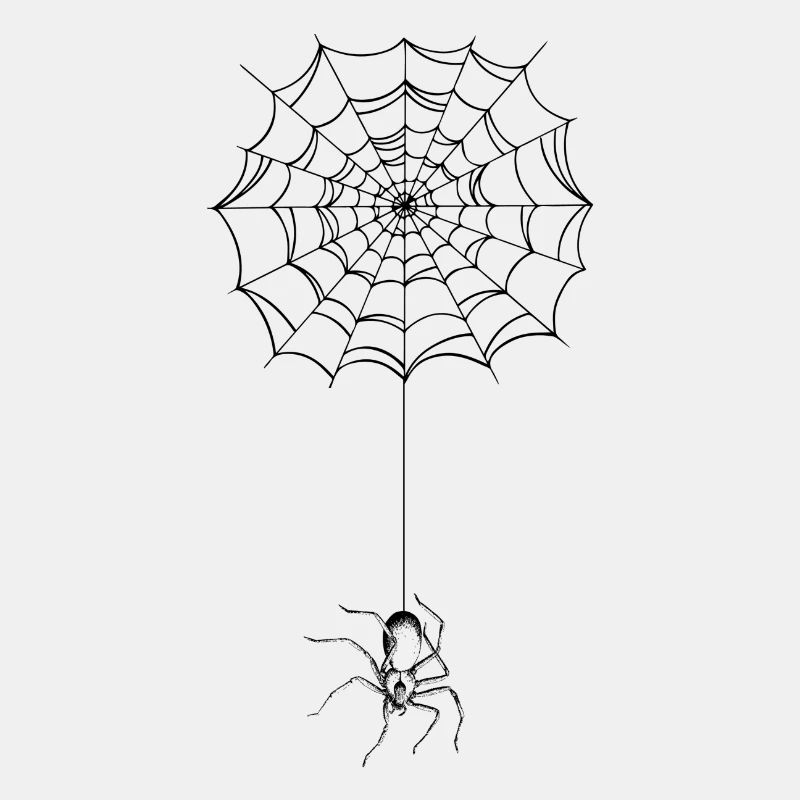 Spinne - Spinnennetz - Spider