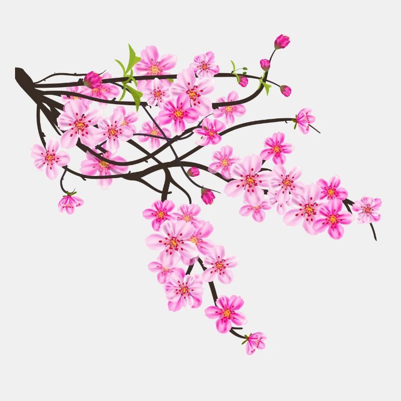 Sakura Blume