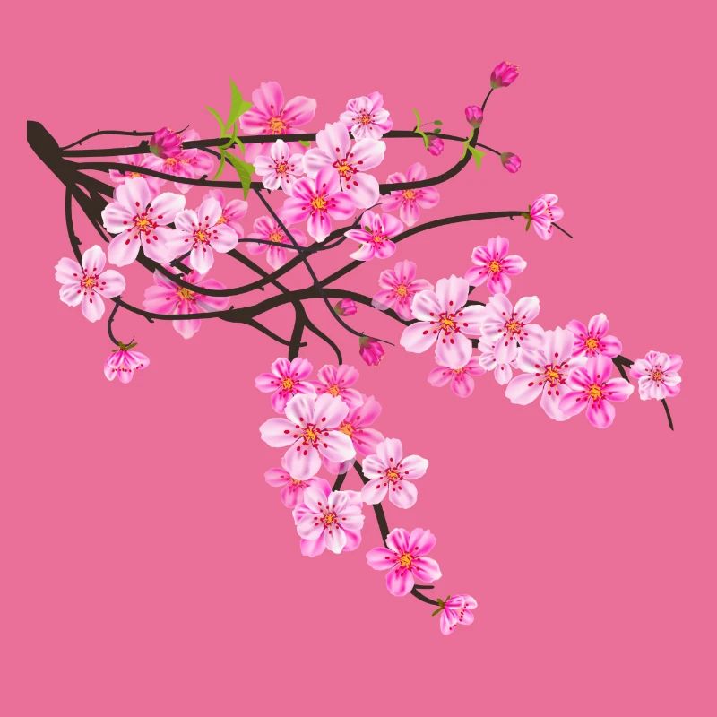 Sakura Blume