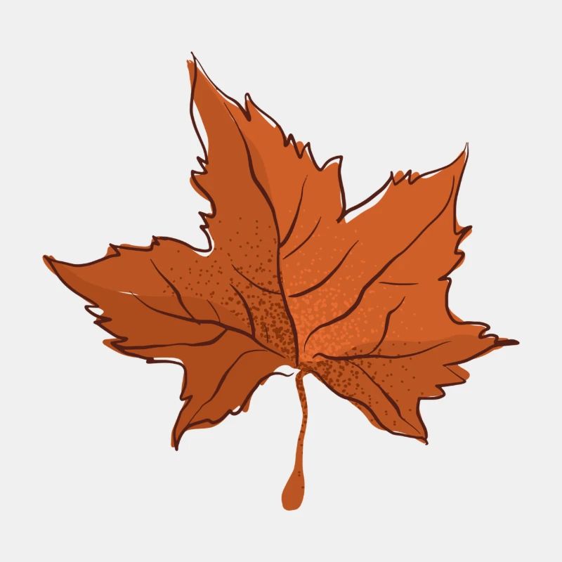 Feuille d’automne Feuille d’automne