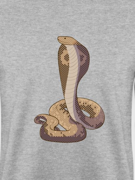 Cobra Snake