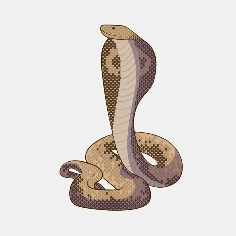 Serpent Cobra