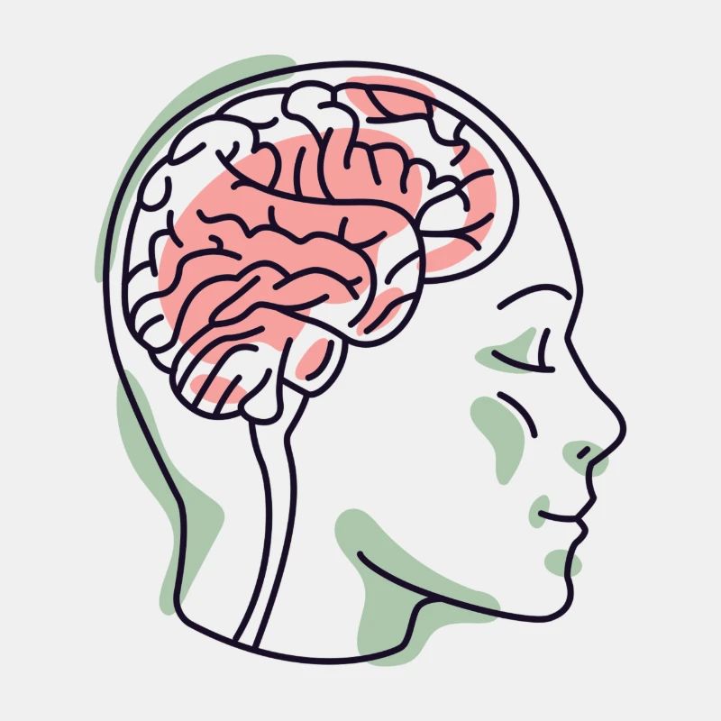Head with brain