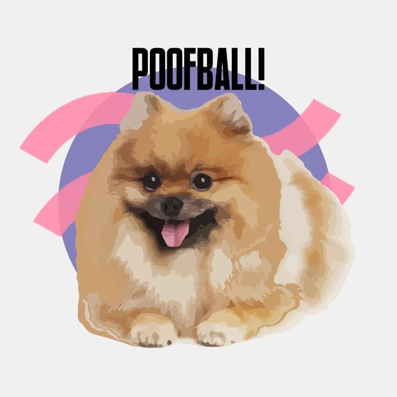 „POOFBALL!“ - Zwergspitz