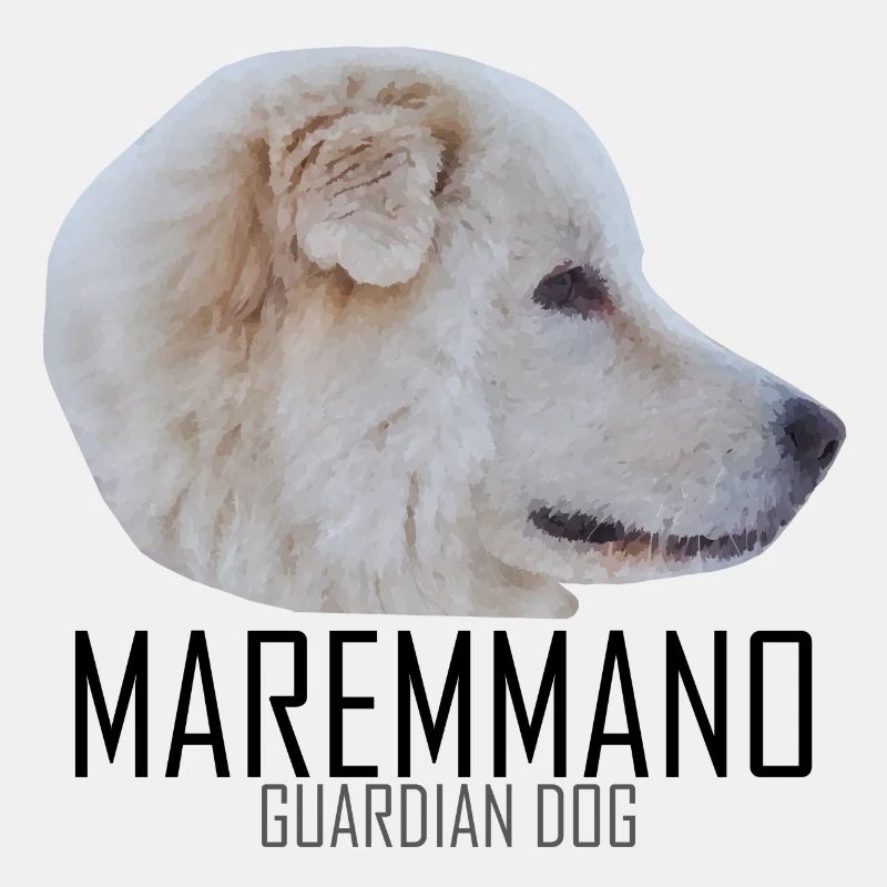 MAREMMANO ABRUZZESE - Guardian dog