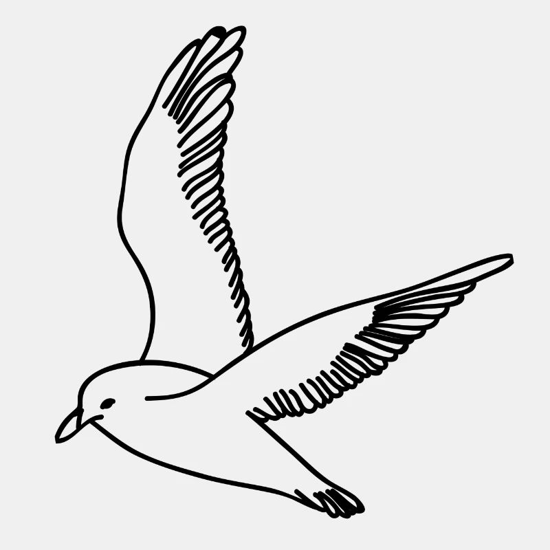 gull