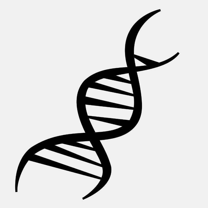 DNA Strang Design