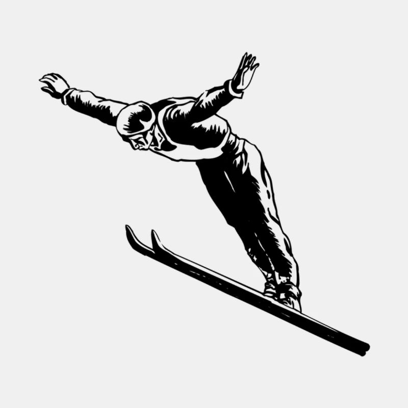 Skispringen Skispringer