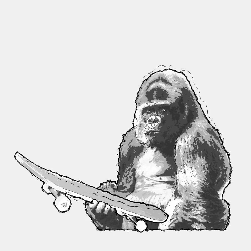 Skating Skateboard Monkey Monkey