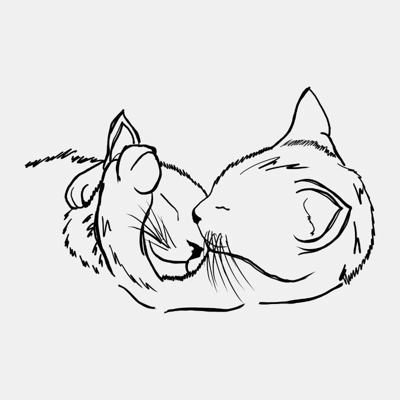 Chat - chat - chat