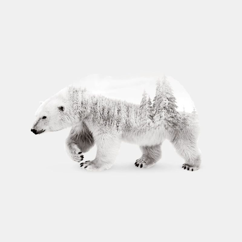 Arktischer Bär