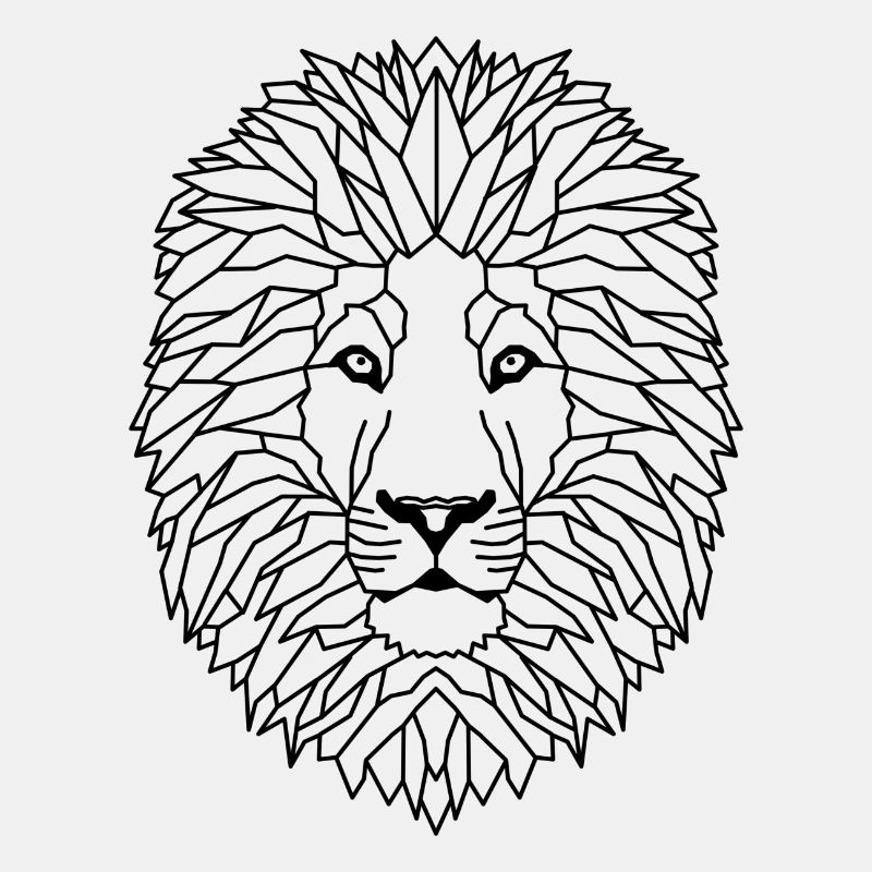 Löwe Geometric