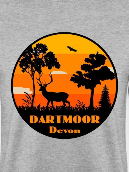 Dartmoor Devon