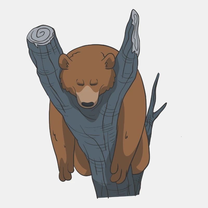 Schlafender Bär Geschenk Idee