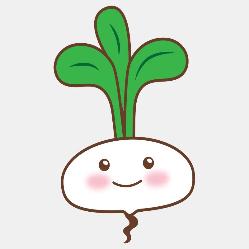 Single white turnip vegetable