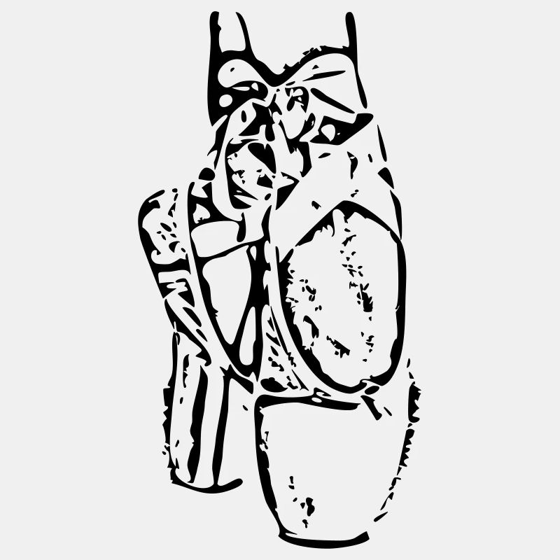 Ballett-Spitzenschuhe
