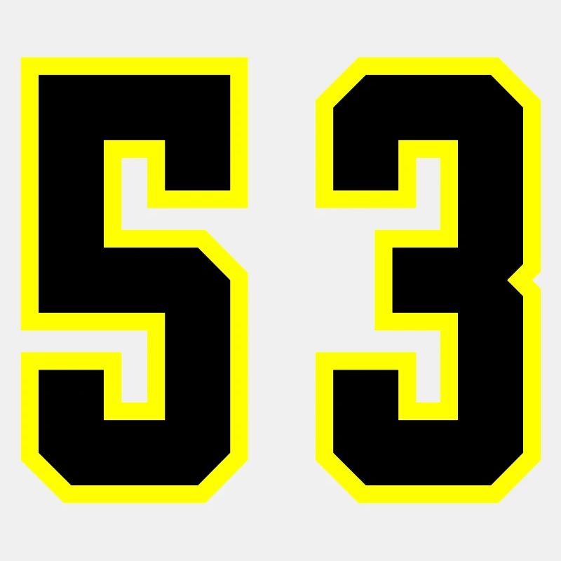 53 Zahl Trikot