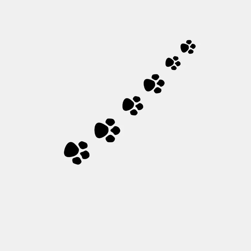 Katzenpfote