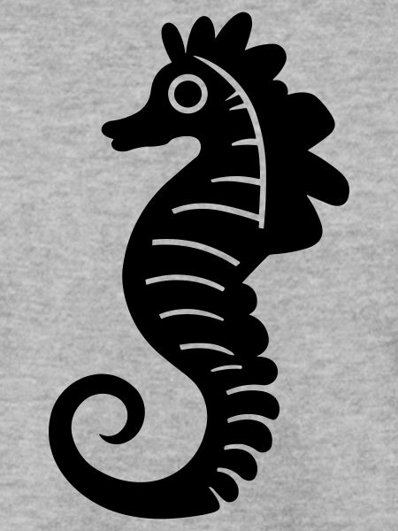 Hippocampe