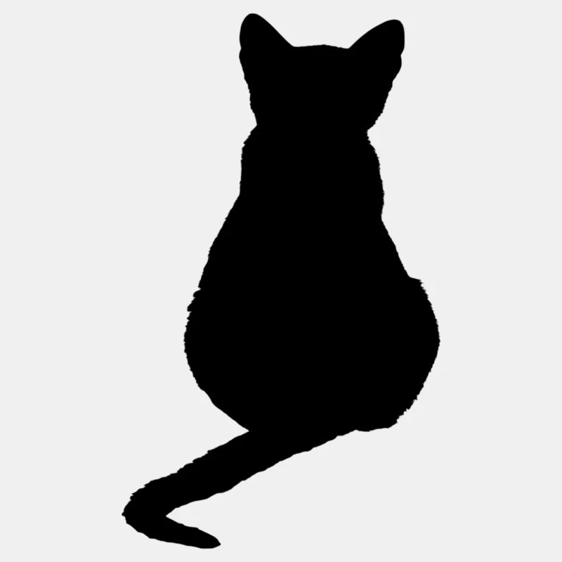 Cat Kitten Cat Shirt Gift