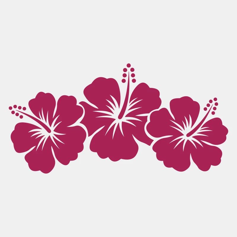 hibiskus